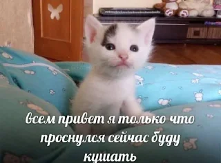 Стикер witness botik - 11