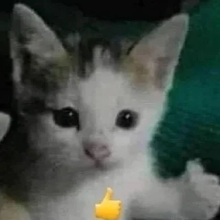 Стикер witness botik - 4