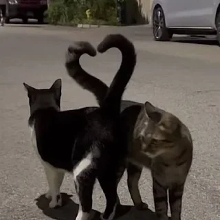 Стикер witness botik - 10