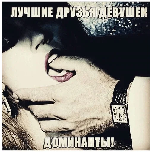 Стикер WjkXOFQxKPupyllhB_by_stickers_stealer_bot - 1