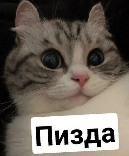 Стикер Хуй - 5