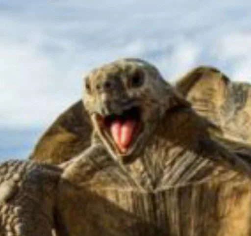 Стикер Хуй - 4