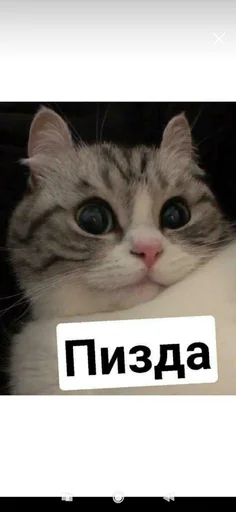 Стикер Хуй - 0