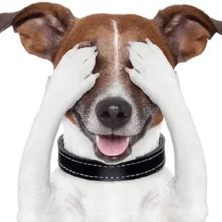 Стикер Больше стикеров: @sticerru - 1