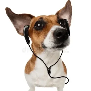 Стикер Больше стикеров: @sticerru - 8