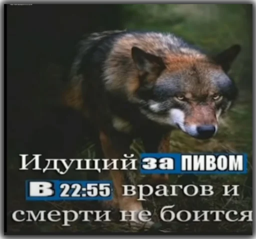 Sticker Волк - 3