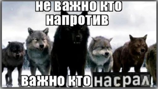 Sticker Волк - 2