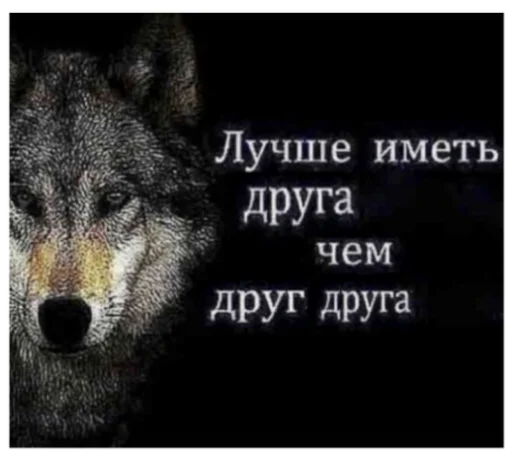 Sticker Волк - 0