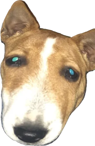 Sticker Wolk_Kirill - 4