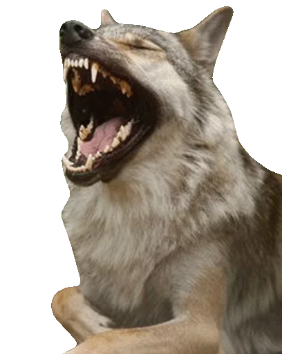 WolveStickerz - mammal