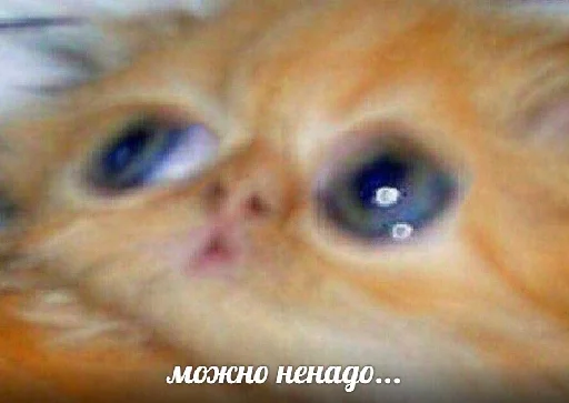 Sticker WonderMemes - 1