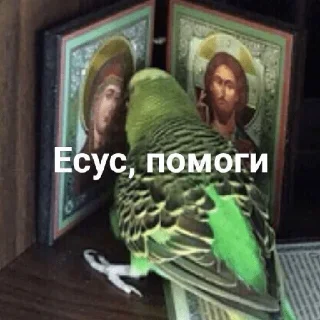 Стикер Мемы - 2