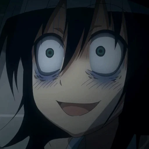 Sticker wonderlandStickers - 10