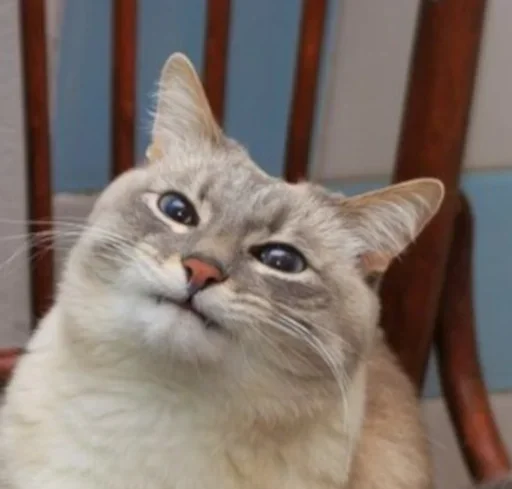 Sticker wonderlandStickers - 3