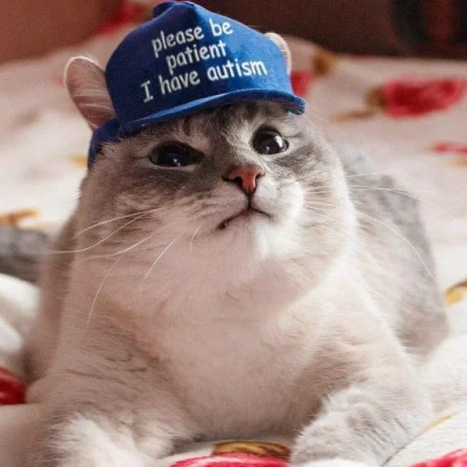 Sticker wonderlandStickers - 0