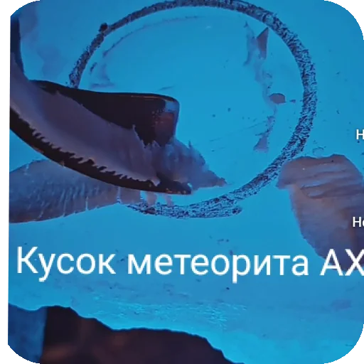 Sticker Wood_ilya_by_yaziktembot - 1