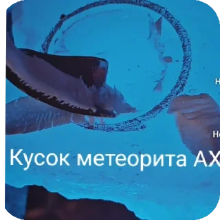 Sticker Wood_ilya - 5