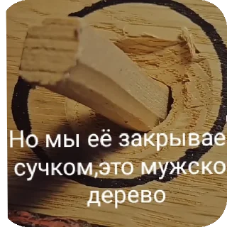 Sticker Wood_ilya - 9