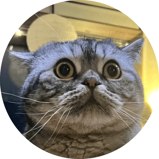 Стикер Wookan - 1