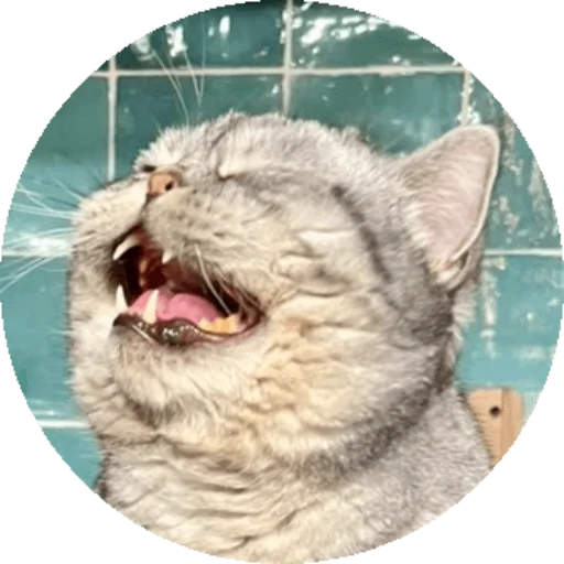 Стикер Wookan - 1