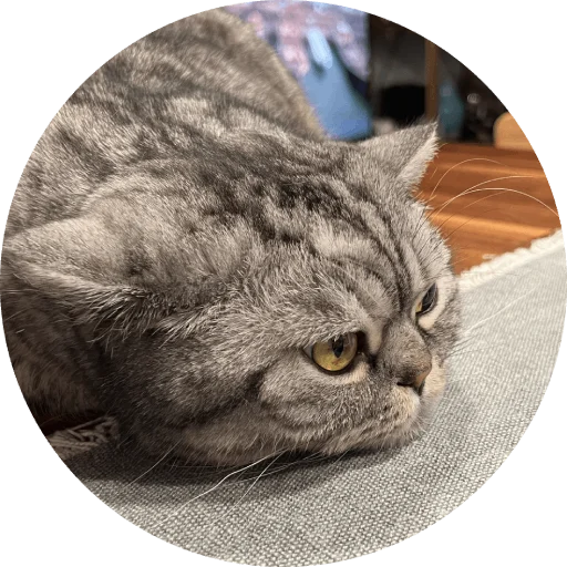 Стикер Wookan - 1