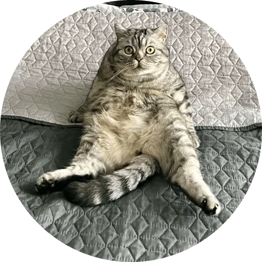 Стикер Wookan - 1