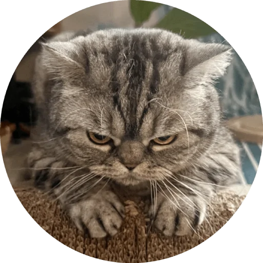 Стикер Wookan - 1