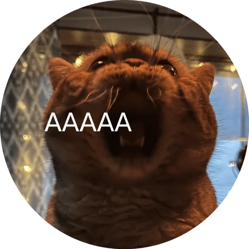 Стикер Wookan - 1