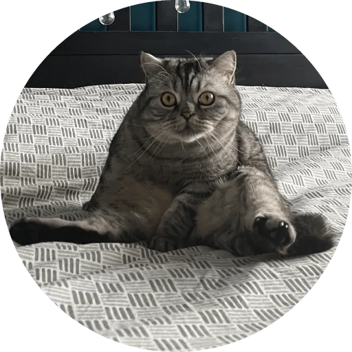 Стикер Wookan - 1