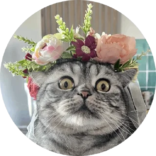 Sticker Вукан - 6