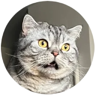 Sticker Вукан - 3