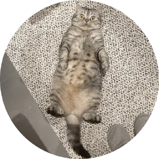 Sticker Вукан - 10