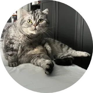 Sticker Вукан - 0