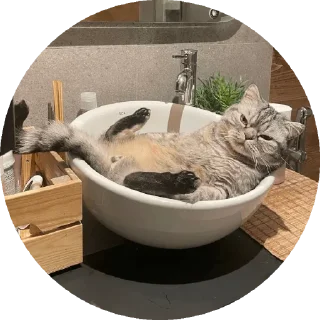 Sticker Вукан - 1