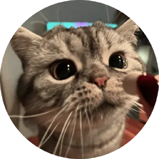 Sticker Вукан - 4