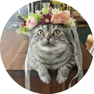 Sticker Вукан - 11