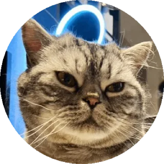 Sticker Вукан - 5