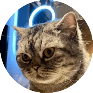 Sticker Вукан - 8