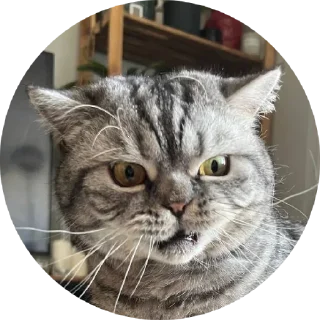 Sticker Вукан - 7