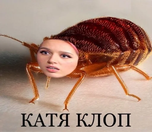 Слово+слово➡️ @stickers_gold - 