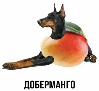 Sticker Слово+слово➡️ @stickers_gold - 5