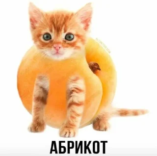 Sticker Слово+слово➡️ @stickers_gold - 2