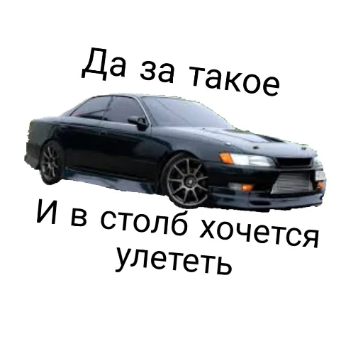 Sticker World auto - 11