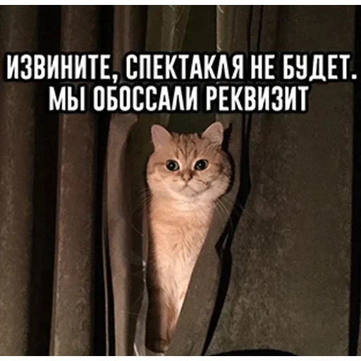 Sticker Wowowo007 - 1