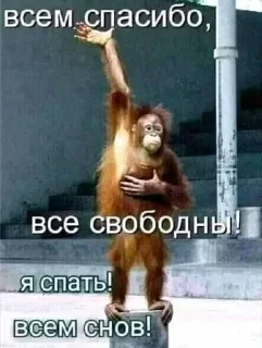 Sticker Больше стикеров 👉🏻 @stickertg4 - 4