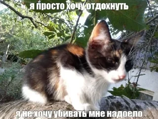 Sticker Больше стикеров 👉🏻 @stickertg4 - 5