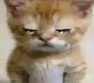 Sticker Больше стикеров 👉🏻 @stickertg4 - 2