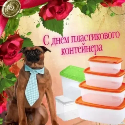 Праздники by @stqrapp - 