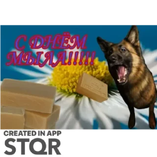 Sticker Праздники by @stqrapp - 6