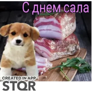 Sticker Праздники by @stqrapp - 11